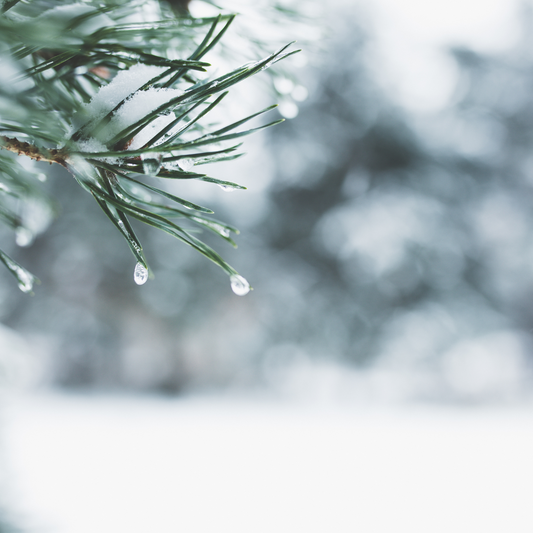 Winter Is Crafting Season: Time to Cozy Up and Create! โ๏ธ๐งถ