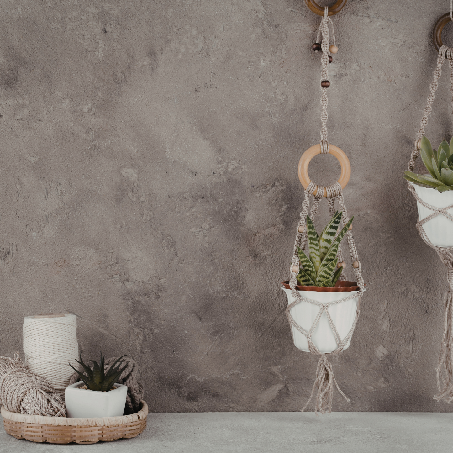 Wooden Rings 75mm | Macrame Plant Hanger Rings | Pack of 20 or 40