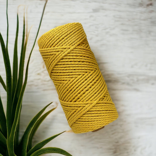 DREAM BUNDLE #17 | 5mm 3Ply Macrame Cord | 4 ROLLS | 100% Cotton - Cottonknotsxx