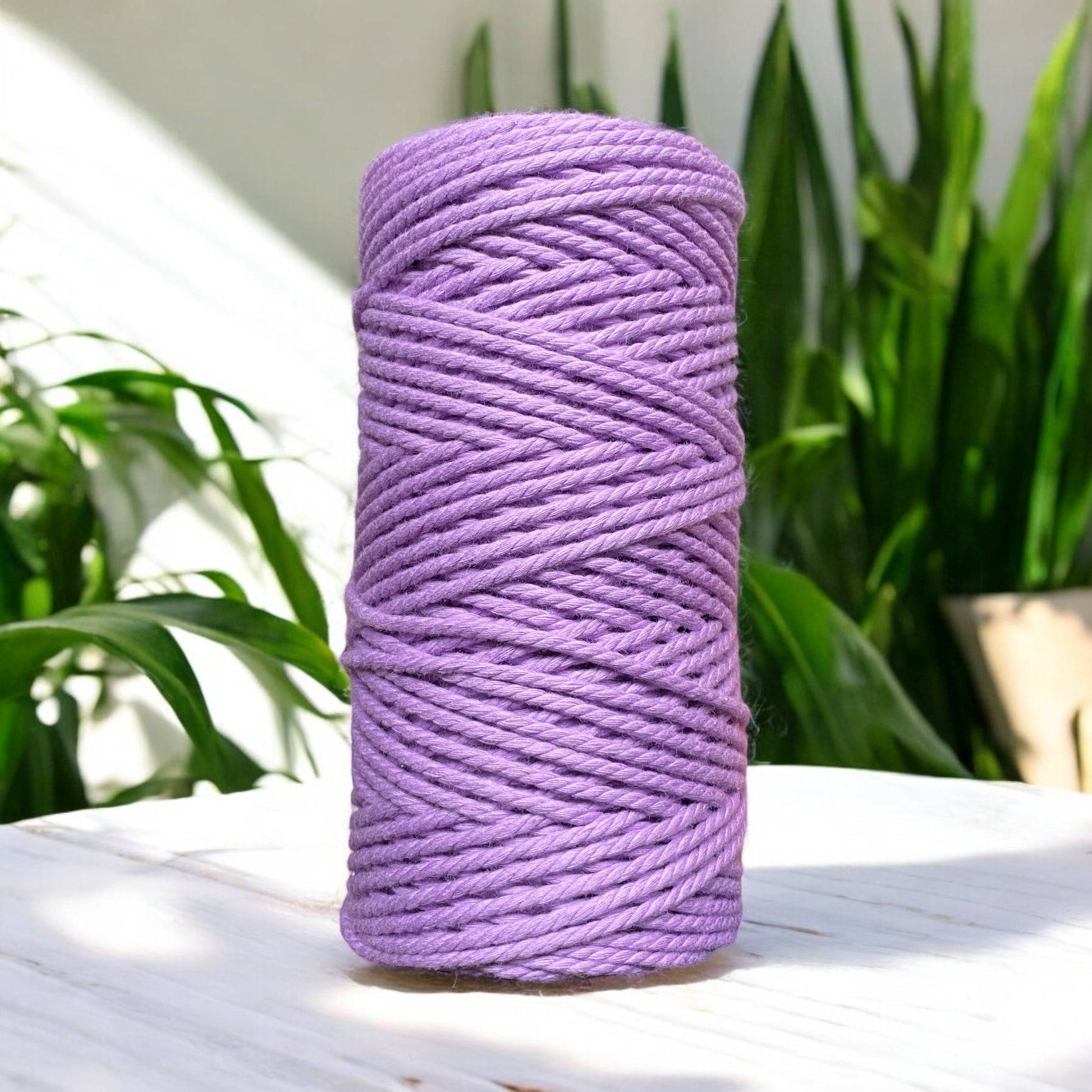 A spool of violet Luxe Premium Cotton cord stands upright on a white surface, surrounded by green leaves and a white wall, all bathed in sunlight.