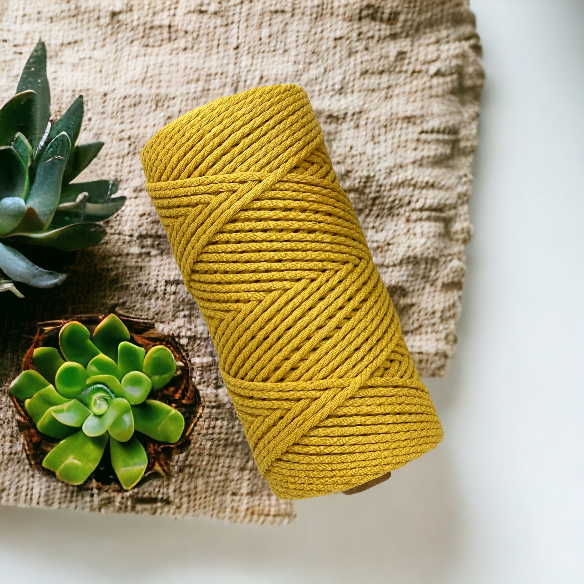 DREAM BUNDLE #3 | 3mm 3ply Macrame Cord | 8 ROLLS | 100m each | 100% Cotton - Cottonknotsxx