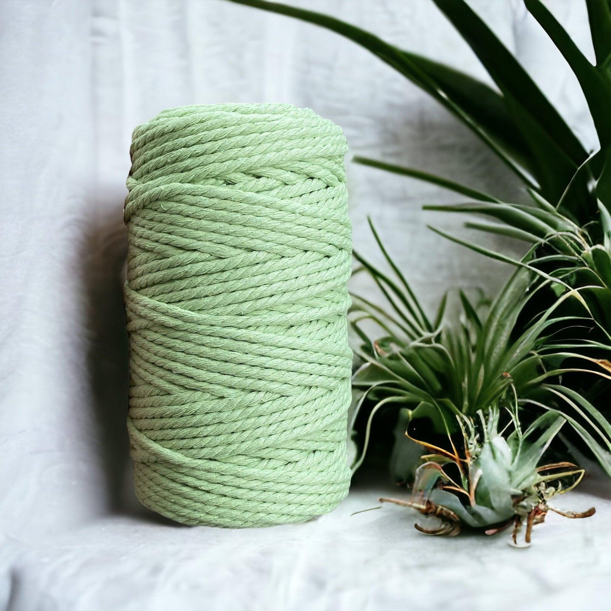 5MM 3Ply Rope // GREEN APPLE // Recycled Cotton - Cottonknotsxx